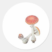  paddenstoelen Keuken - Wetenschapsflessen - Ronde Sticker (Voorkant)