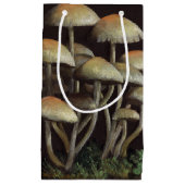 paddenstoelen klein cadeauzakje (Voorkant)