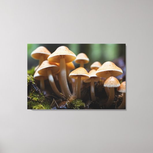 Paddenstoelen kweken in het bos canvas afdruk (Voorkant)