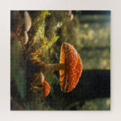 Paddenstoelen kweken in het bos legpuzzel (Horizontaal)