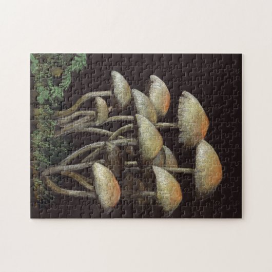 paddenstoelen legpuzzel (Horizontaal)