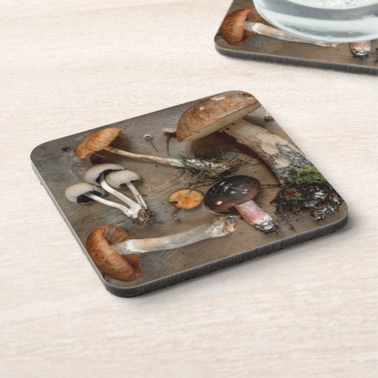 Paddenstoelen Lieven Schimmels Bier Onderzetter (Linkerzijde)