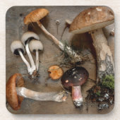 Paddenstoelen Lieven Schimmels Bier Onderzetter (Voorkant)