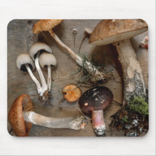 Paddenstoelen Love Fungi Muismat