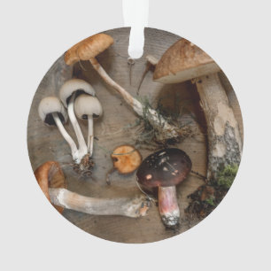 Paddenstoelen Love Fungi Ornament