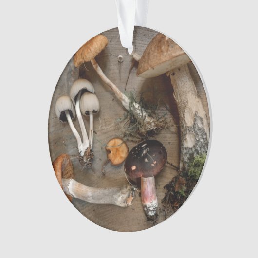 Paddenstoelen Love Fungi Ornament (voorkant)