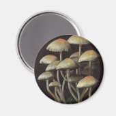 paddenstoelen magneet (Voorkant / Achterkant)