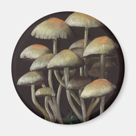 paddenstoelen magneet (Voorkant)