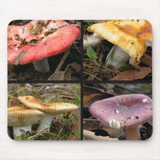 paddenstoelen Mousepad Muismat (Voorkant)