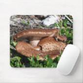 paddenstoelen muismat (Met muis)