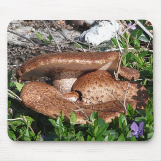 paddenstoelen muismat (Voorkant)
