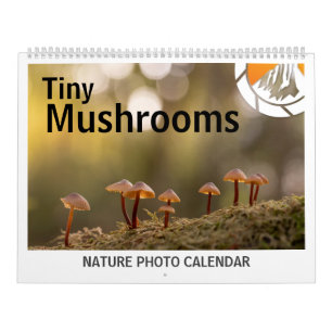 Paddenstoelen Natuur Foto's 2025 Kalender