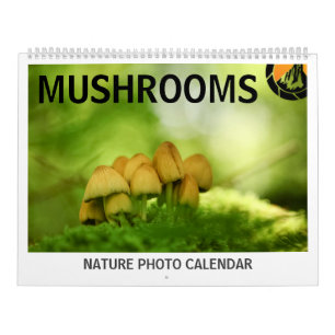 Paddenstoelen Natuur Foto's 2026 Kalender