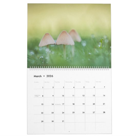 Paddenstoelen Natuur Foto's 2026 Kalender (Mar 2026)
