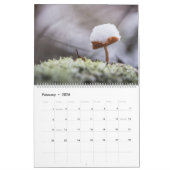 Paddenstoelen Natuur Foto's 2026 Kalender (Feb 2026)