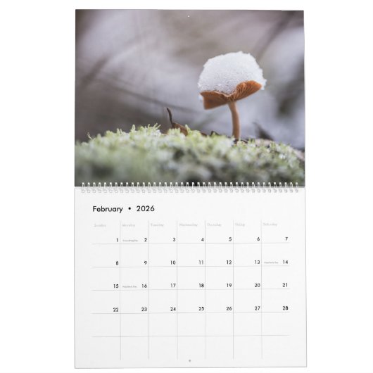 Paddenstoelen Natuur Foto's 2026 Kalender (Feb 2026)