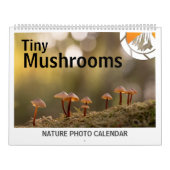 Paddenstoelen Natuur Foto's 2026 Kalender (Hoes)