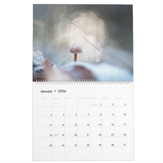 Paddenstoelen Natuur Foto's 2026 Kalender (Jan 2026)