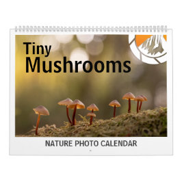 Paddenstoelen Natuurfoto's 2027 Kalender