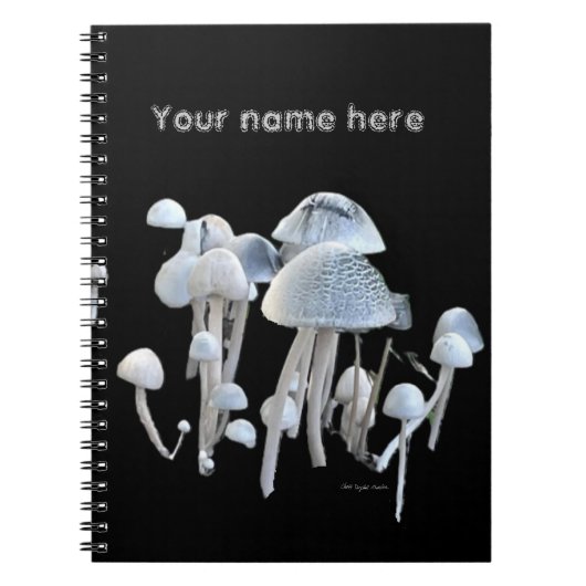 Paddenstoelen Notitieboek (Voorkant)