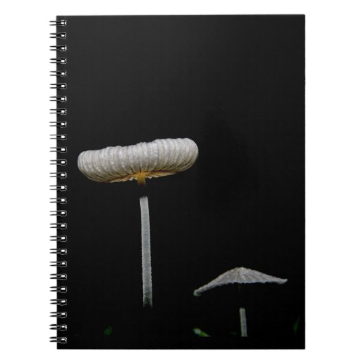 paddenstoelen notitieboek (Voorkant)