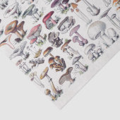  paddenstoelen Ontvlechting van kuilvoer Tissuepapier (Detail)