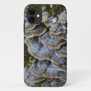 Paddenstoelen op boom Hoesje, iPhone SE + iPhone 5 Case-Mate iPhone Case