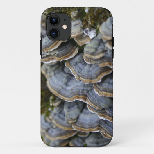 Paddenstoelen op boom Hoesje, iPhone SE + iPhone 5 Case-Mate iPhone Case (Achterkant)