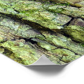 Paddenstoelen op boomstam poster (Hoek)