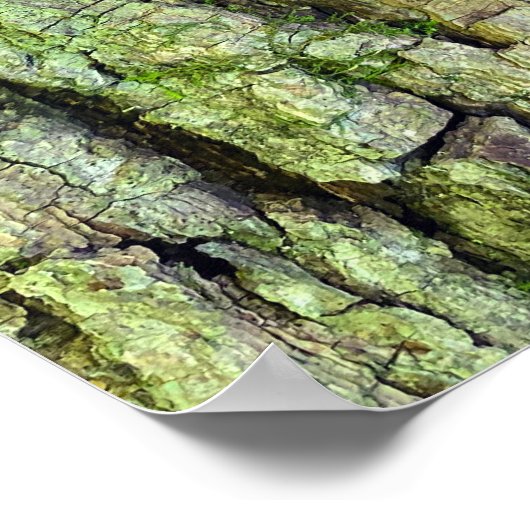 Paddenstoelen op boomstam poster (Hoek)