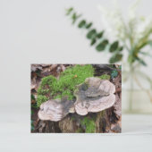 Paddenstoelen op een boomstam briefkaart (Staand voorkant)