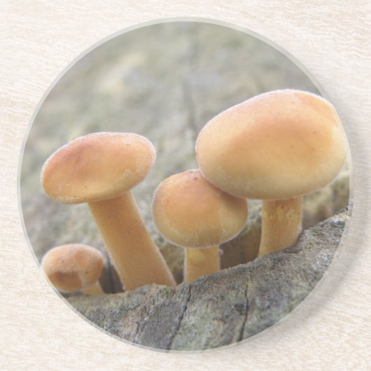 Paddenstoelen op een Boomstam Onderzetters (Voorkant)