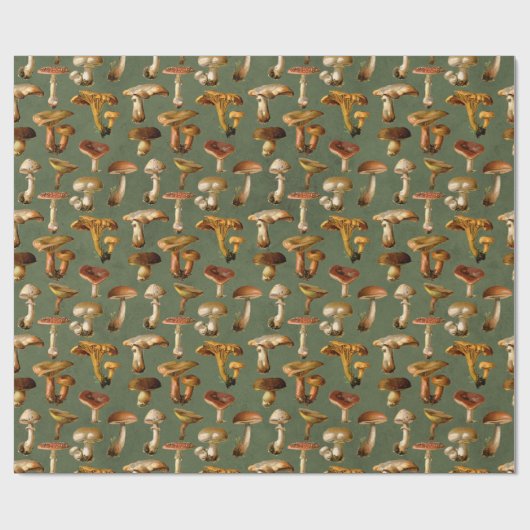  paddenstoelen op groen cadeaupapier (Vlak)