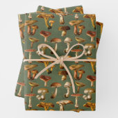 paddenstoelen op groen inpakpapier vel (In situ)