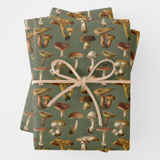 paddenstoelen op groen inpakpapier vel (In situ)