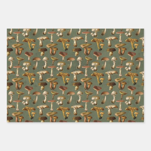 paddenstoelen op groen inpakpapier vel (Voorkant)