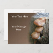 Paddenstoelen op Natuur van de pomp Briefkaart (Voorkant / Achterkant)