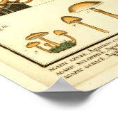  paddenstoelen Oranje blauw Frans kunstwerk afdruk Poster (Hoek)