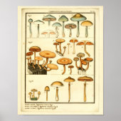  paddenstoelen Oranje blauw Frans kunstwerk afdruk Poster (Voorkant)