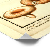 paddenstoelen Oranje bruin Frans kunstwerk afdruk Poster (Hoek)