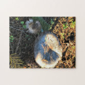Paddenstoelen, Oregon Legpuzzel (Horizontaal)