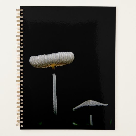 paddenstoelen planner (Voorkant)