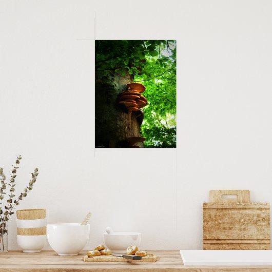 paddenstoelen poster (Keuken)