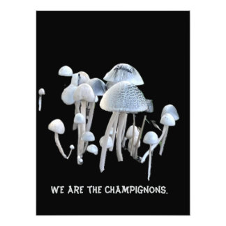 Paddenstoelen Poster