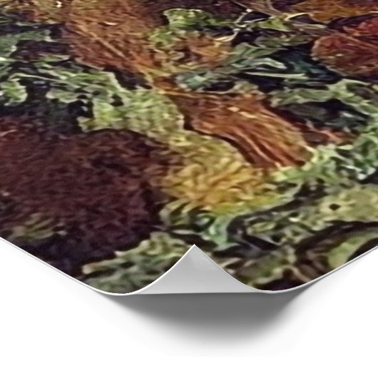  paddenstoelen poster (Hoek)