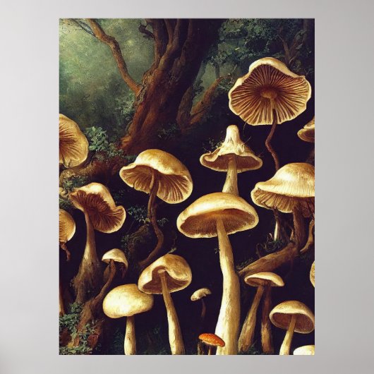  paddenstoelen poster (Voorkant)