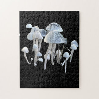 Paddenstoelen Puzzel