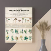 Paddenstoelen  Retro 1840-1850 Poster