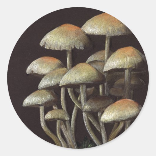 paddenstoelen ronde sticker (Voorkant)