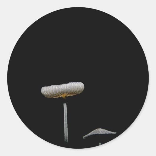 paddenstoelen ronde sticker (Voorkant)